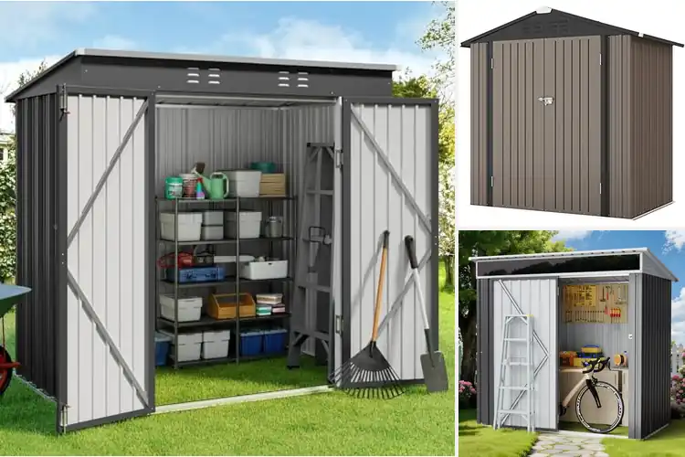 Detailed view of Best 6×4 Outdoor Storage Sheds: Top 10 Picks for Your Home