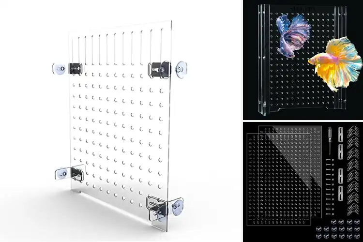 Detailed view of Best Acrylic Aquarium Separators
