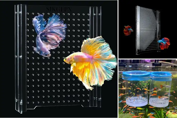 Detailed view of Best Aquarium Separator Sets