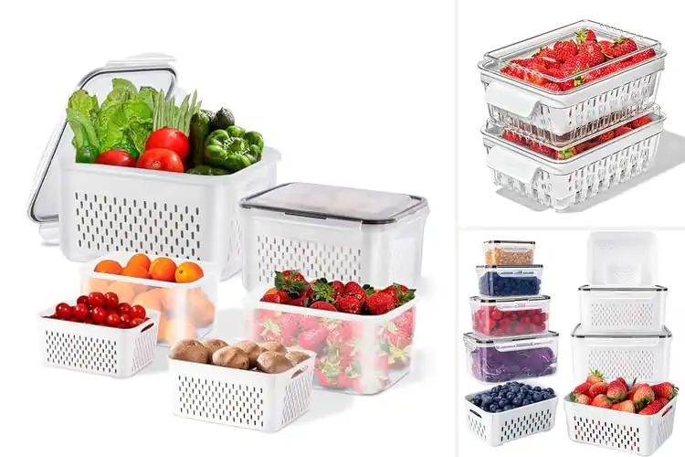 Detailed view of Best Berry Storage Solutions: Keep Berries Fresher Longer