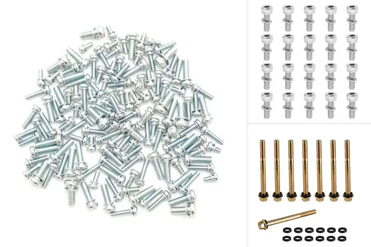 Detailed view of Best Carburetor Screws