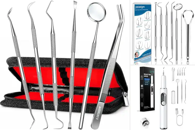 Detailed view of Best Dental Cleaning Kits