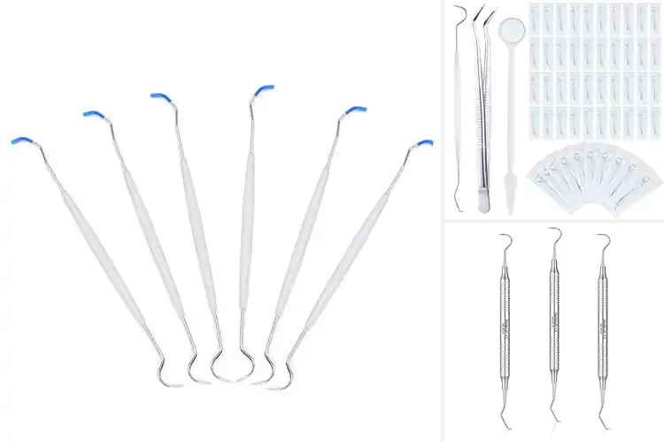 Detailed view of Best Dental Explorer Picks