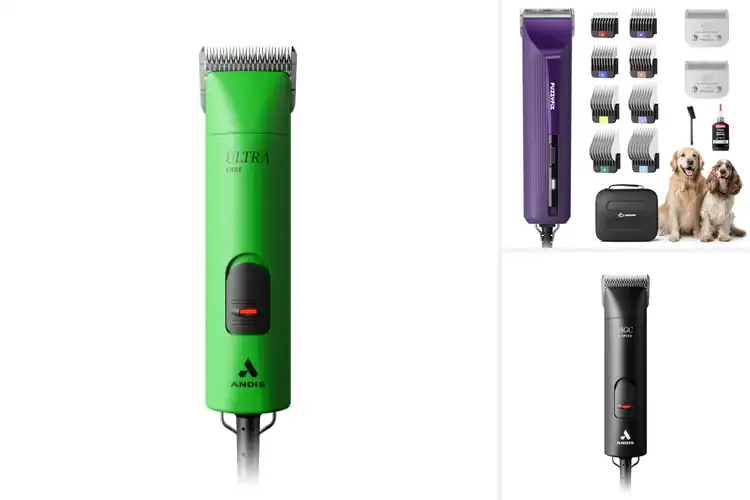 Detailed view of Best Detachable Blade Dog Clippers
