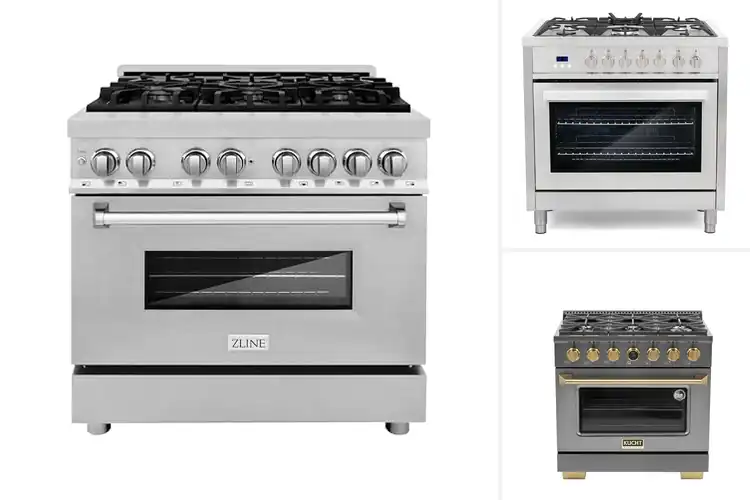 Detailed view of Best Dual Fuel Ranges: Top 10 Picks for Precision & Style