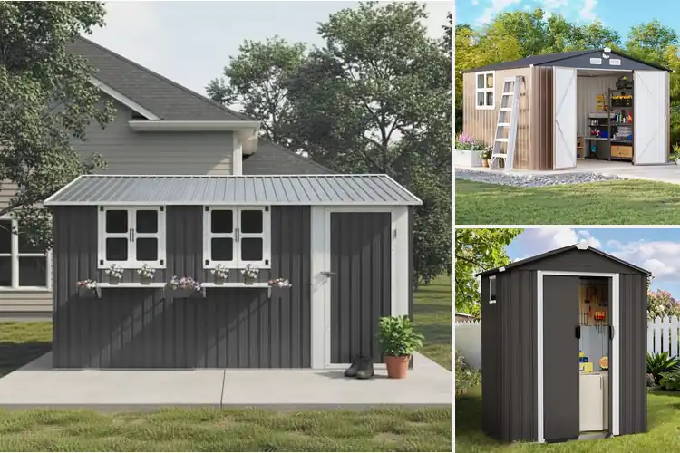 Detailed view of Best Garden Sheds With Windows: Brighten Your Outdoor Space
