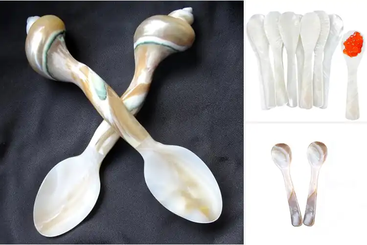Detailed view of Best Handmade Shell Spoons: Top 10 Elegant Picks