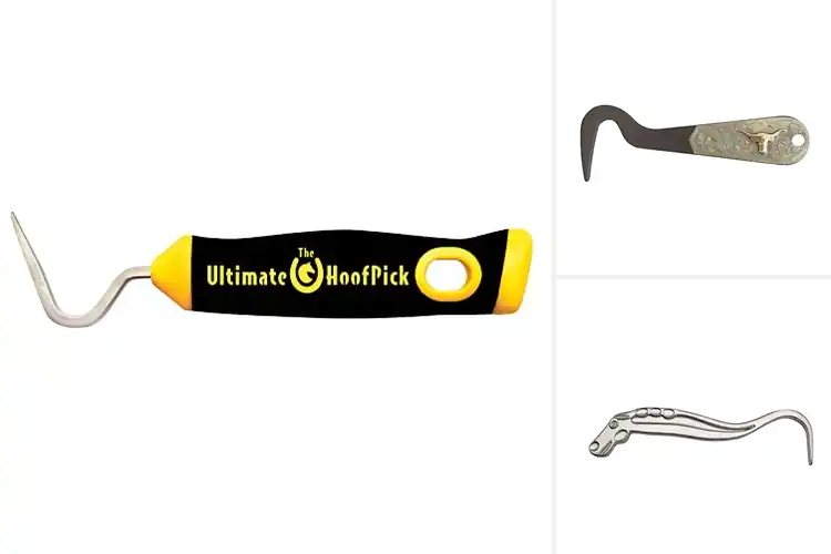 Detailed view of Best Heavy Duty Hoof Picks: Built to Last