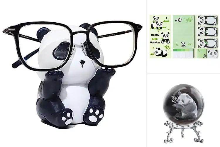 Detailed view of Best Panda Gifts For Women: 10 Adorable & Practical Ideas