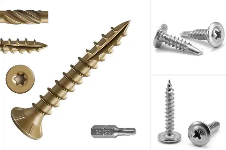 Detailed view of Best Performance Screws