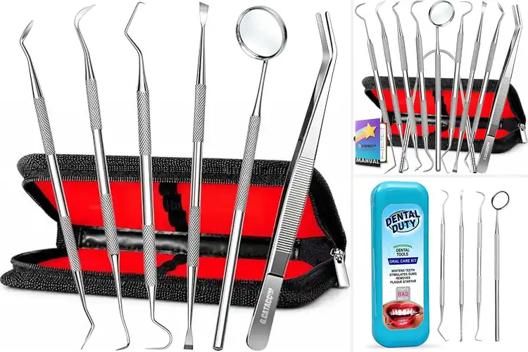 Detailed view of Best Professional Dental Tools
