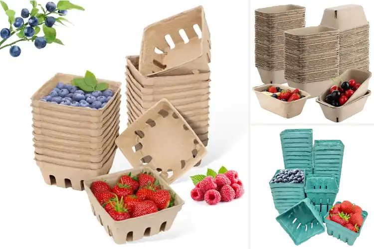 Detailed view of Best Pulp Fiber Containers
